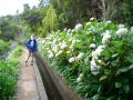 Madeira0879.JPG